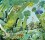 El buho y el bosque. Libros y cómics de la naturaleza. Grupo Pandora. Editor: Pedro Tabernero.