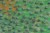 La ruta de la Vía Verde. Libros de viajes. Grupo Pandora. Editor: Pedro Tabernero.