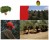 Ivan Chermayell. De Osuna y sus olivos. Grupo Pandora. Editor: Pedro Tabernero.