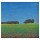 Campos de Castilla / Antonio Machado. Editor: Pedro Tabernero